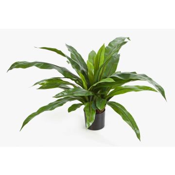 Plante décorative fougère nid JANE, vert, 80cm, Ø80cm Plante décorative fougère nid JANE, vert, 80cm, Ø80cm
