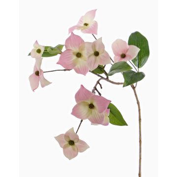 Branche décorative Cornouiller du Japon KOHANA, en fleurs, rose-crème, 65cm, Ø4-8cm Branche décorative Cornouiller du Japon KOHANA, en fleurs, rose-crème, 65cm, Ø4-8cm