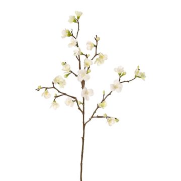 Branche décorative de pommier en fleurs SADAKA, crème, 70cm, Ø3-4cm