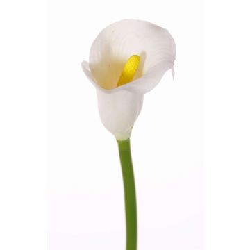 Fleur artificielle Calla CHIDORA, blanc, 55cm, 5x6cm Fleur artificielle Calla CHIDORA, blanc, 55cm, 5x6cm
