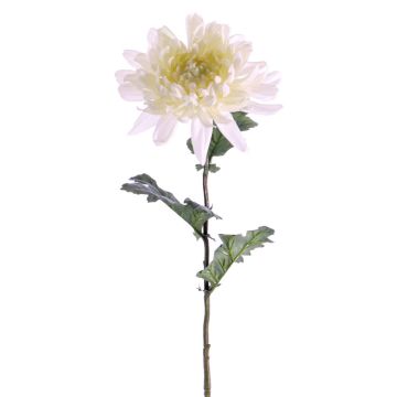 Fleur artificielle Chrysanthème AMANDI, blanc, 75cm, Ø15cm
