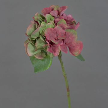 Hortensia en plastique CHIDORI, rouge-vert, 30cm, Ø13cm