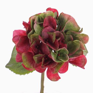 Hortensia en plastique CHIDORI, rouge-vert, 30cm, Ø13cm Hortensia en plastique CHIDORI, rouge-vert, 30cm, Ø13cm