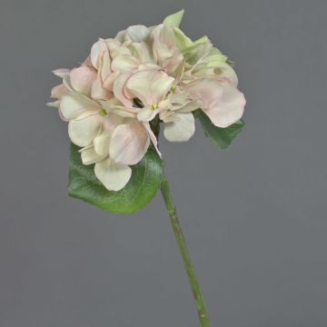 Hortensia en plastique CHIDORI, crème-rose, 30cm, Ø13cm