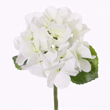 Hortensia en plastique CHIDORI, blanc-vert, 30cm, Ø13cm Hortensia en plastique CHIDORI, blanc-vert, 30cm, Ø13cm