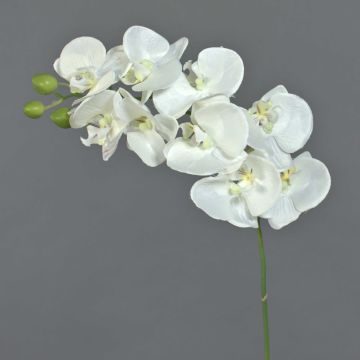 Branche artificielle d'orchidée Phalaenopsis GALINA, crème, 45cm