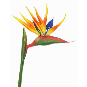 Fleur de Strelitzia artificielle LATIFA, orange-violet, 90cm, 17x20cm Fleur de Strelitzia artificielle LATIFA, orange-violet, 90cm, 17x20cm