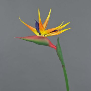Fleur de Strelitzia artificielle LATIFA, orange-violet, 80cm, 17x20cm