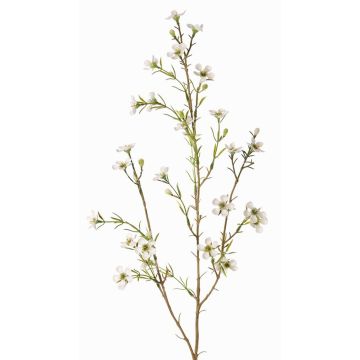 Fleur de cire artificielle NIANG, crème, 80cm, Ø1,5-2,5cm