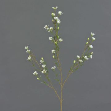 Fleur de cire artificielle NIANG, crème, 80cm, Ø2-3cm