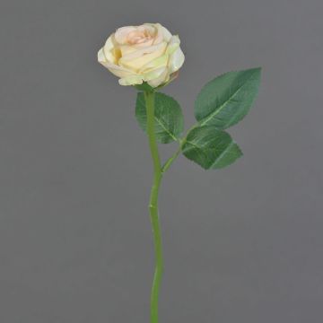 Fleur artificielle Rose GABI, crème-rose, 25cm, Ø5cm