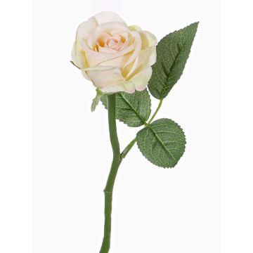 Fleur artificielle Rose GABI, crème-rose, 30cm, Ø6cm Fleur artificielle Rose GABI, crème-rose, 30cm, Ø6cm
