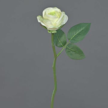 Fleur artificielle Rose GABI, crème-vert, 25cm, Ø5cm
