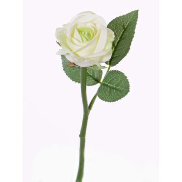 Fleur artificielle Rose GABI, crème-vert, 30cm, Ø6cm Fleur artificielle Rose GABI, crème-vert, 30cm, Ø6cm