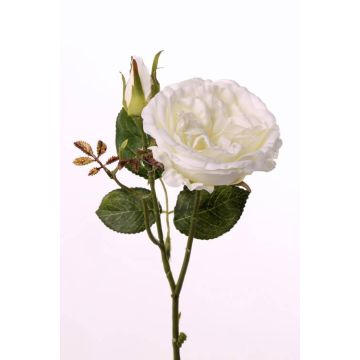 Rosier artificiel JUDY, crème, 35cm, Ø8cm Rosier artificiel JUDY, crème, 35cm, Ø8cm