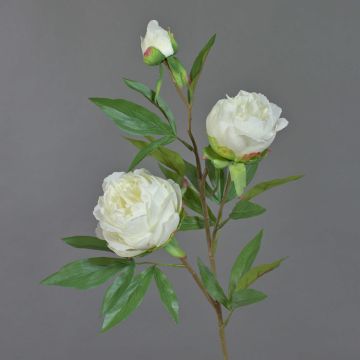 Pivoine artificielle sur tige MANJA, blanc, 70cm, Ø8-10cm