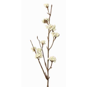 Branche décorative de callicarpe LARINA avec baies, crème, 50cm