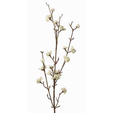 Branche décorative de callicarpe LARINA avec baies, crème, 70cm