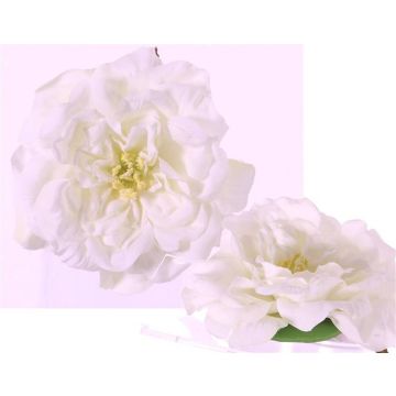 Fleur de rose décorative SASKIA, flottant, crème, 5cm, Ø15cm