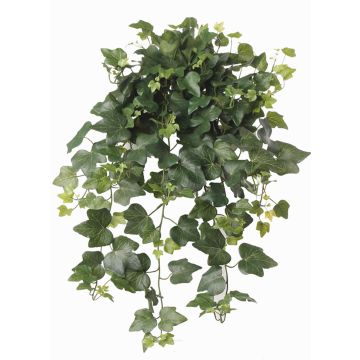 Buisson de lierre artificiel TILL, à piquer, crossdoor, vert, 65cm Buisson de lierre artificiel TILL, à piquer, crossdoor, vert, 65cm