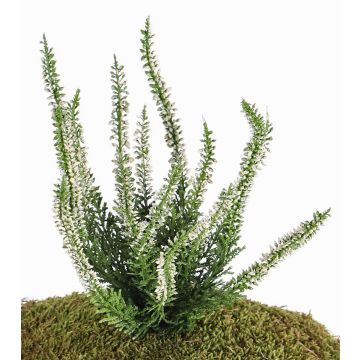 Fleur artificielle bruyère IMKE à planter, crème, 25cm, Ø1cm Fleur artificielle bruyère IMKE à planter, crème, 25cm, Ø1cm