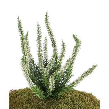 Fleur artificielle bruyère IMKE à planter, crème, 25cm, Ø1cm Fleur artificielle bruyère IMKE à planter, crème, 25cm, Ø1cm