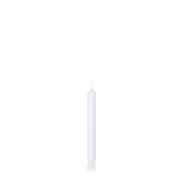 Bougie chandelle CHARLOTTE, blanc, 18,5cm, Ø2,1cm, 6,5h - Made in Germany