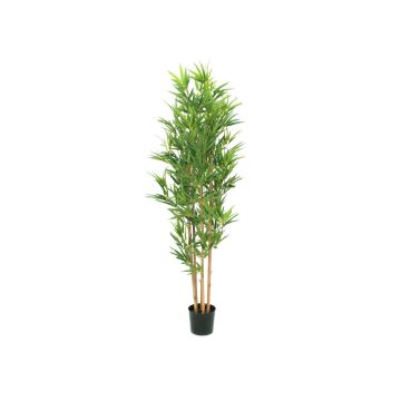 Bambou artificiel ELISSO, tiges authentiques, 150 cm Bambou artificiel ELISSO, tiges authentiques, 150 cm