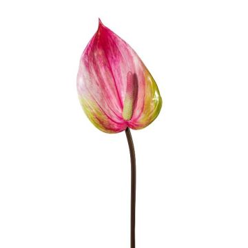 Fleur décorative Anthurium GRUNT, rose, 75cm