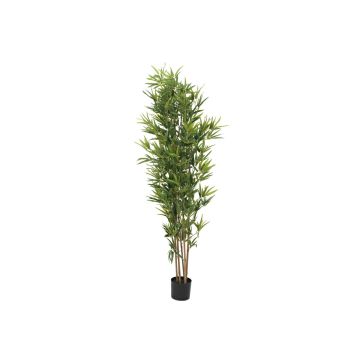 Bambou artificiel ELISSO, tiges naturelles, 180 cm Bambou artificiel ELISSO, tiges naturelles, 180 cm