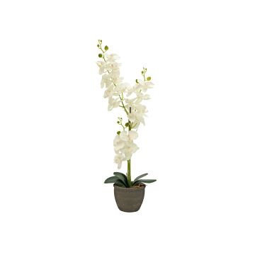 Orchidée artificielle Phalaenopsis KATALIN, pot décoratif, crème, 80 cm