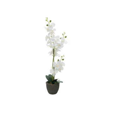 Orchidée artificielle Phalaenopsis KATALIN, pot décoratif, blanc, 80 cm