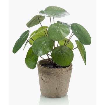 Plante succulente artificielle pilea SYBIL dans un pot en terre cuite, verte, 20cm Plante succulente artificielle pilea SYBIL dans un pot en terre cuite, verte, 20cm