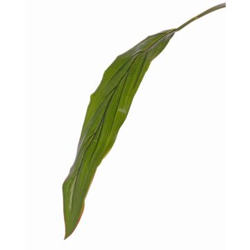 Feuille de cordyline décorative ELARA, vert, 90cm Feuille de cordyline décorative ELARA, vert, 90cm