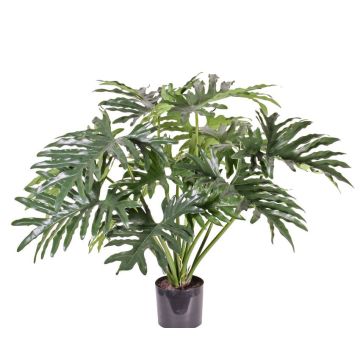 Fausse plante Philodendron Selloum SILAS, 80cm Fausse plante Philodendron Selloum SILAS, 80cm