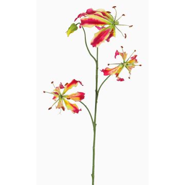 Fausse fleur Gloriosa TIANA, fuchsia-vert, 80cm, Ø8-15cm