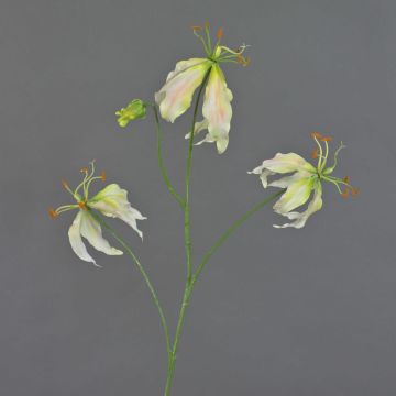 Fausse fleur Gloriosa TIANA, rose-vert, 80cm, Ø8-15cm