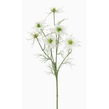 Fleur artificielle Nigelle SEVIN, blanc-vert, 65cm, Ø6-7cm