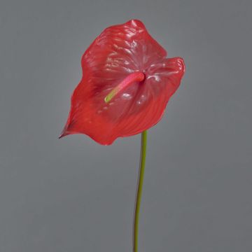 Fleur artificielle Anthurium MOIRA, rouge, 75cm, 13x20cm