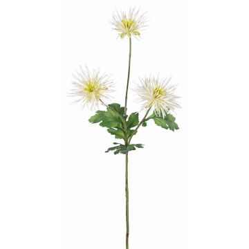 Chrysanthème décoratif SOLVIE, crème, 70cm, Ø10cm Chrysanthème décoratif SOLVIE, crème, 70cm, Ø10cm