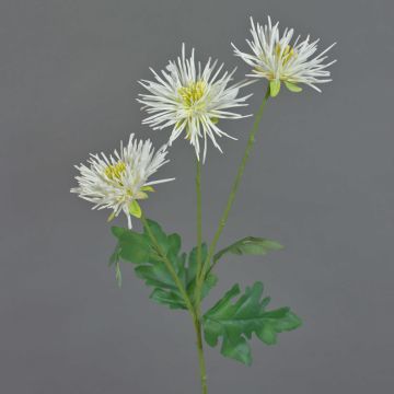 Chrysanthème décoratif SOLVIE, crème, 70cm, Ø10cm