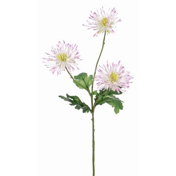 Chrysanthème décoratif SOLVIE, blanc-rose, 70cm, Ø10cm Chrysanthème décoratif SOLVIE, blanc-rose, 70cm, Ø10cm
