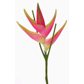 Héliconia artificielle TOMKE, fuchsia-vert, 80cm, Ø18cm Héliconia artificielle TOMKE, fuchsia-vert, 80cm, Ø18cm