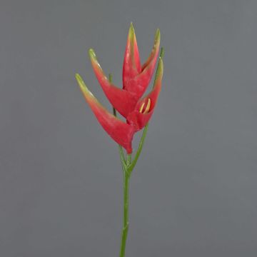 Héliconia artificielle TOMKE, rouge-vert, 80cm, Ø30cm