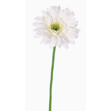 Gerbera artificiel HELLI, crème, 65cm, Ø12cm Gerbera artificiel HELLI, crème, 65cm, Ø12cm