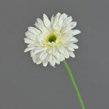Gerbera artificiel HELLI, crème, 65cm, Ø12cm