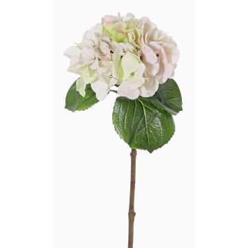 Hortensia en plastique CHIDORI, crème-rose, 60cm, Ø20cm Hortensia en plastique CHIDORI, crème-rose, 60cm, Ø20cm