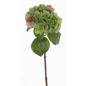 Hortensia en plastique CHIDORI, vert-rose, 60cm, Ø20cm Hortensia en plastique CHIDORI, vert-rose, 60cm, Ø20cm