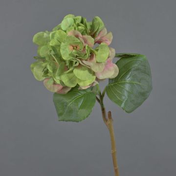 Hortensia en plastique CHIDORI, vert-rose, 60cm, Ø20cm