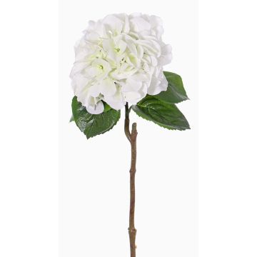 Hortensia en plastique CHIDORI, blanc-vert, 60cm, Ø20cm Hortensia en plastique CHIDORI, blanc-vert, 60cm, Ø20cm